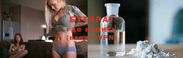 сатива Алзамай