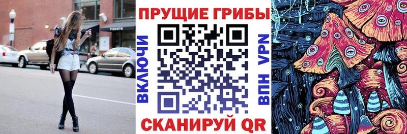 закладка  Болхов  Псилоцибиновые грибы прущие грибы 